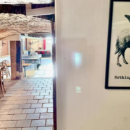 Top-notch Along Canal In Historic Centre Bed & Breakfast Amsterdam